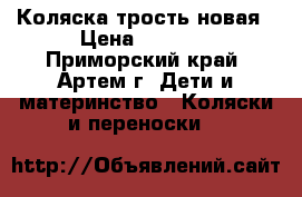 Коляска трость новая › Цена ­ 1 500 - Приморский край, Артем г. Дети и материнство » Коляски и переноски   